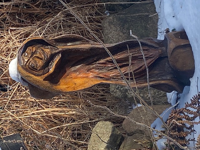 Zwischen Wurzel und Traum