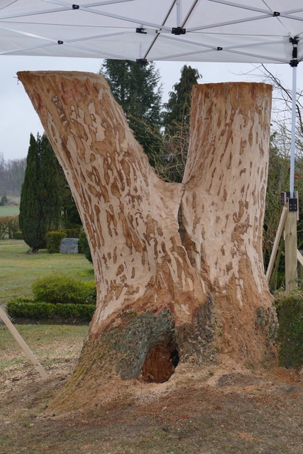 Eiche – Form entsteht